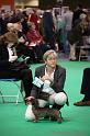 Crufts2011_2 694